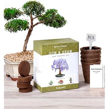 Grow Bok Choy Indoors: Your Year-Round Supply of Nutritious Greens